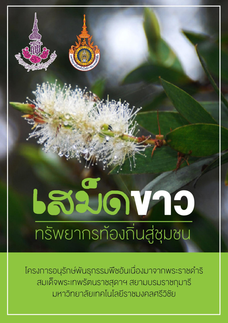 เสม็ดขาวทรัพยากรท้องถิ่นสู่ชุมชน