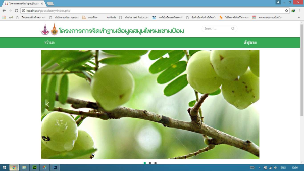 การจัดทำฐานข้อมูลสมุนไพรมะขามป้อม
